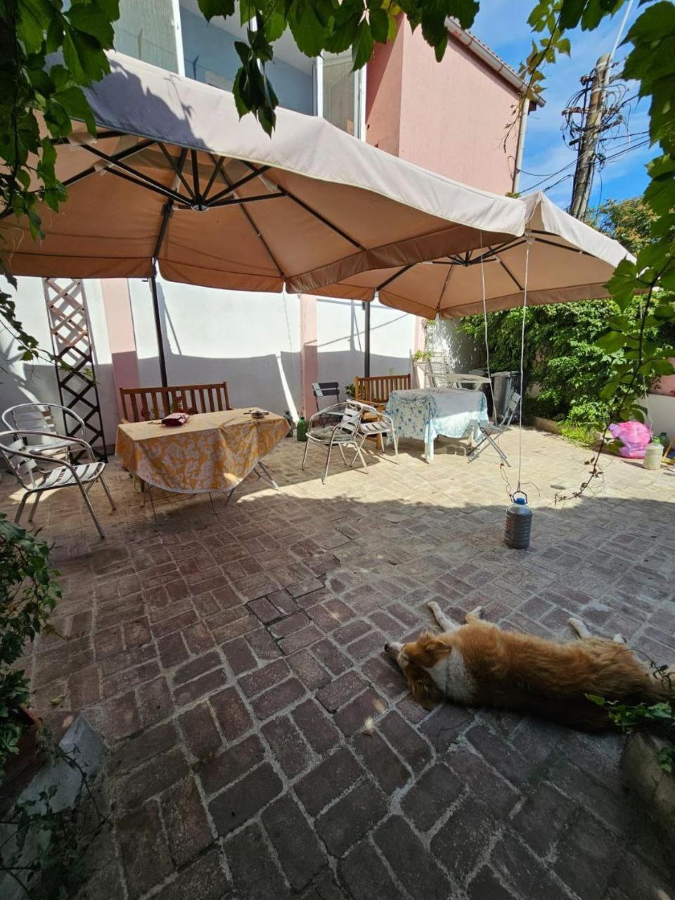 Vila Flavia B&B Constanta Ngoại thất bức ảnh